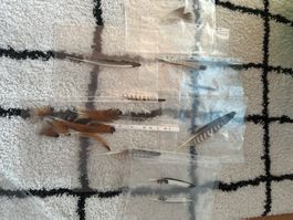 Feder Konvolut verschiedene Arten und Grössen Naturmaterial
