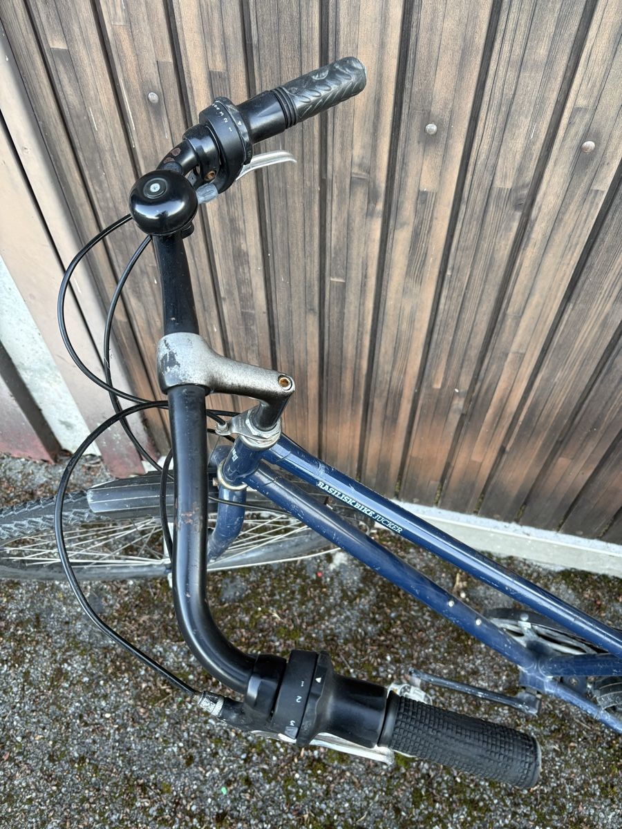 Biciclette: Fahrrad Basilisk Jucker – Usato da Richterswil venduto da Martin01016 1