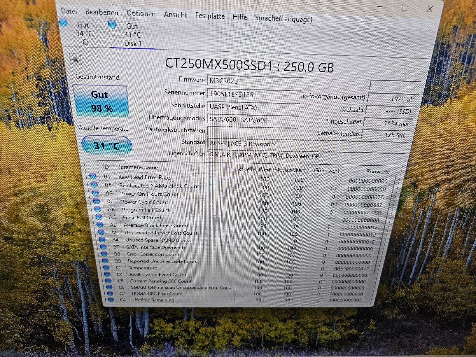 Dischi rigidi: 4 Festplatten a 250 Gb – Usato da Burgdorf venduto da weggu.666 5