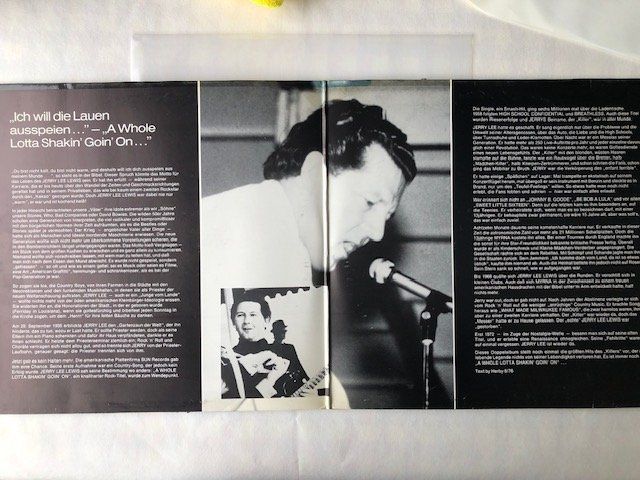 Dischi in vinile: Jerry Lee Lewis – Usato da Aarwangen venduto da Jukebox3 5