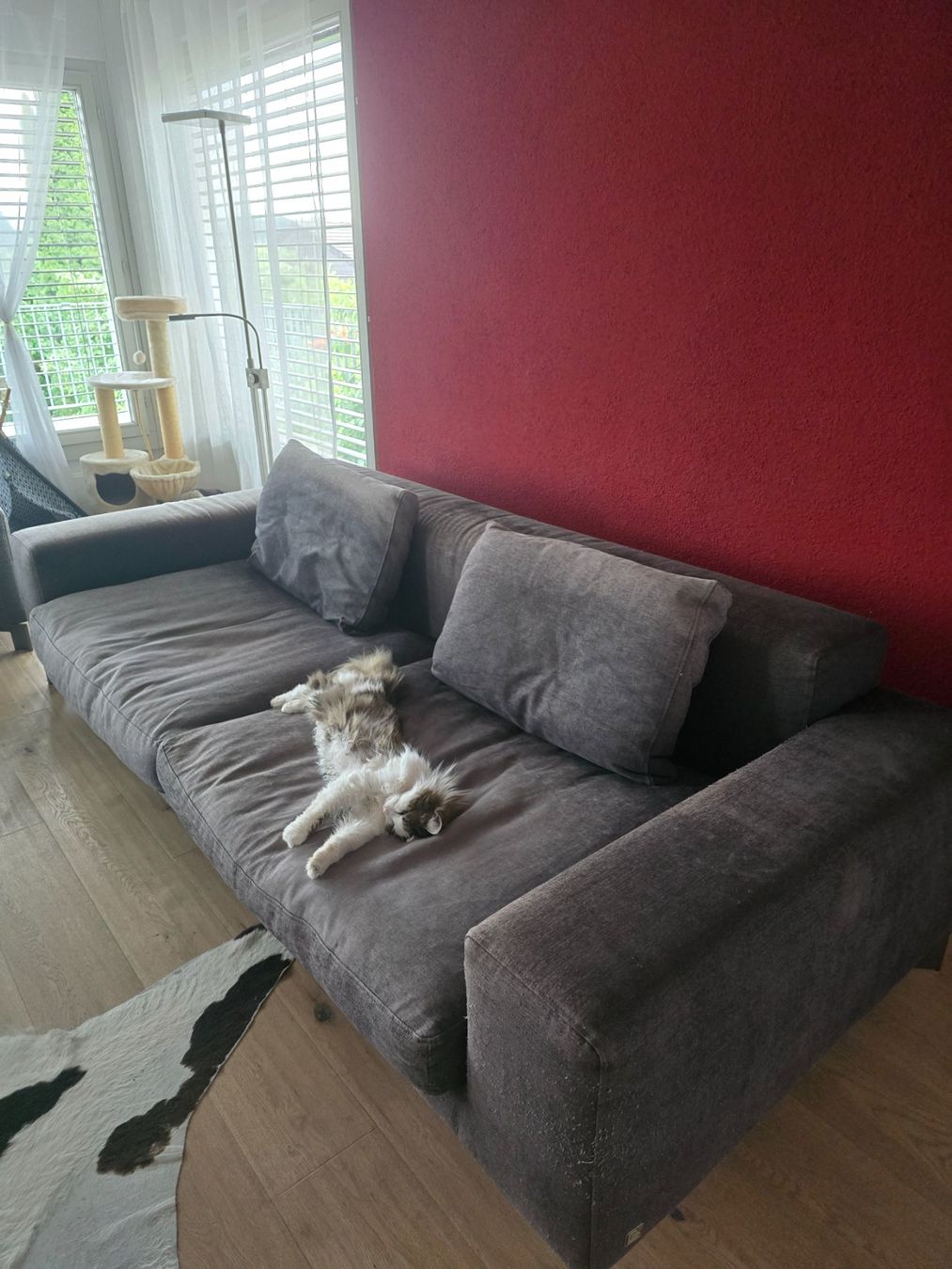 Divani: Busnelli Sofa dunkelgrau 3er und 2er gebraucht – Usato da Matzingen venduto da Lilo1407 2