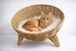 Kuscheliges Katzenbett Hundbett, Katzenkorb
