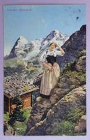Aus der Alpenwelt