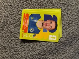 Panini Sticker BIH 12,  Bosnien WM 2026
