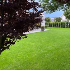 Profile image of Ema777