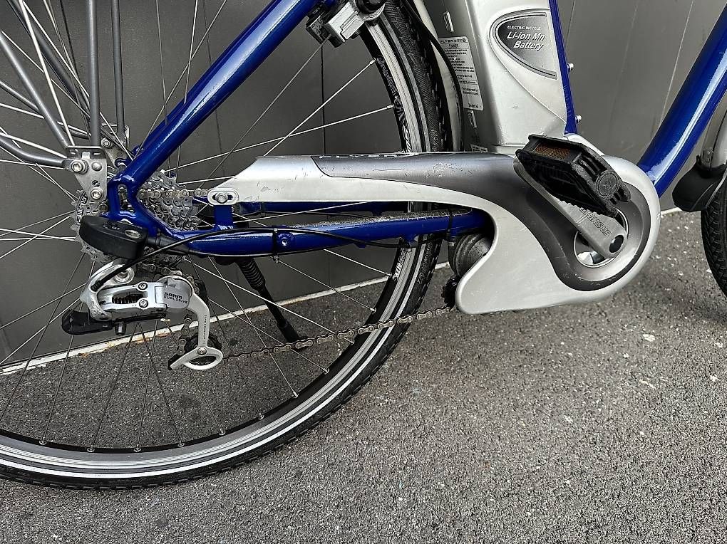 Velos: E-bike da uomo Flyer Tropical 28 – Gebraucht aus Quartino von DiloUsato 8