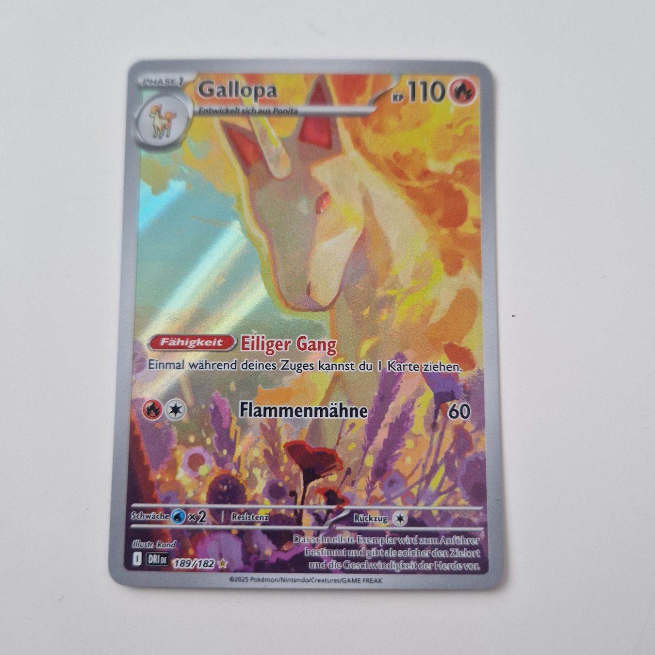 Pokémon Carte collezionabili: Gallopa Holo 189/182 Deutsch – Usato da Brugg AG venduto da Sasch09