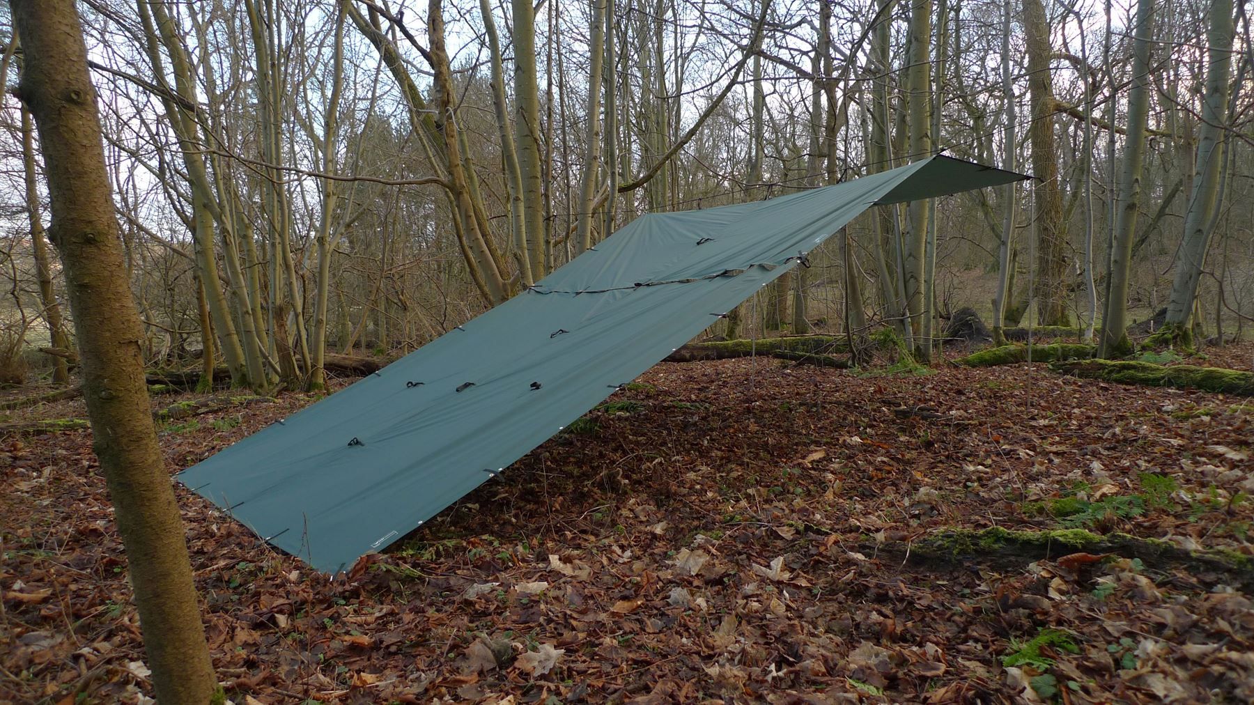 DD Hammocks Altro per Esercito: DD Hammocks DD Tarp PRO Zeltdach 3 x 3 m – Nuovo e nell'imballaggio originale da Tulln venduto da HaengemattenShop 9