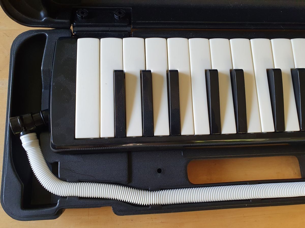 Hohner Instruments de musique: Hohner Melodica Student 26 – Neuf (Voir description) à Steffisburg par chloeisli 2
