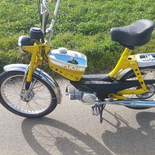 Profile image of Tazmania09