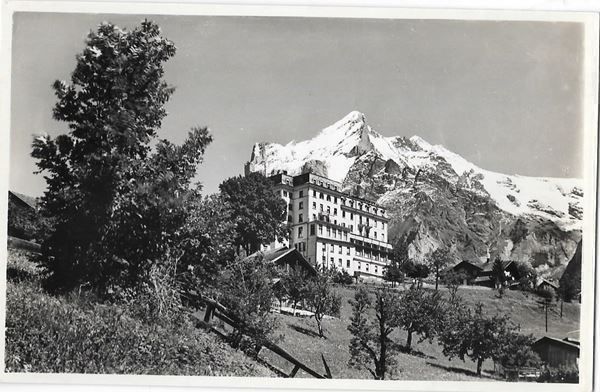 Cartoline postali: Grindelwald Hotel Belvédère – Usato da Olten venduto da clotaldi