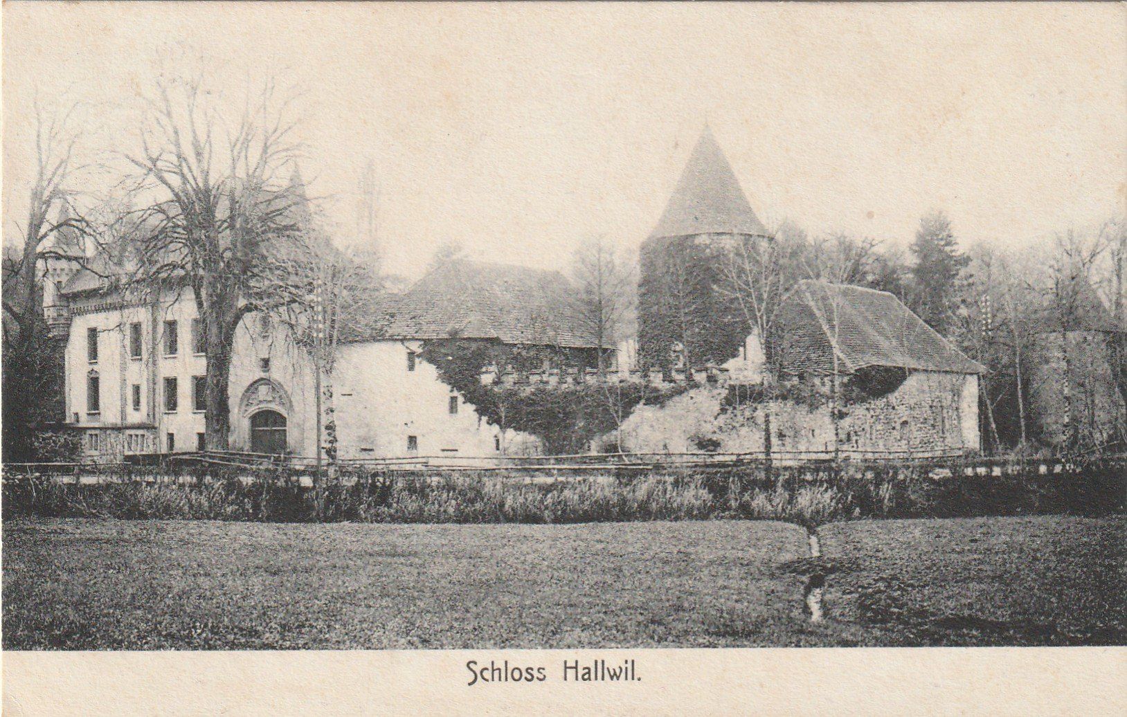 Cartoline postali: Hallwil Schloss – Usato da Rorschacherberg venduto da fratovi2