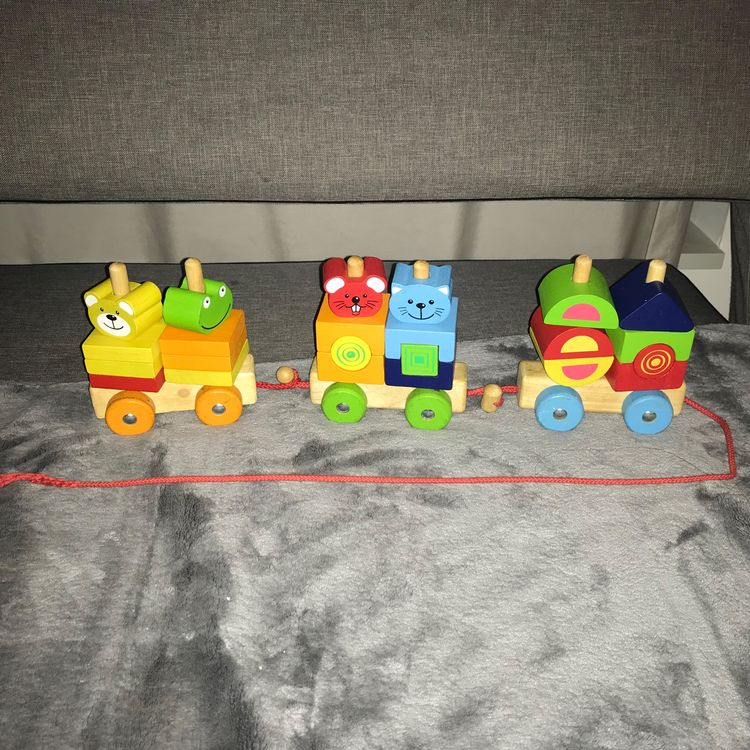 Galvaly Montessori Motorik Spielzeug - Holz Karotten Steckspiel Für Kinder Ab 1 Jahr