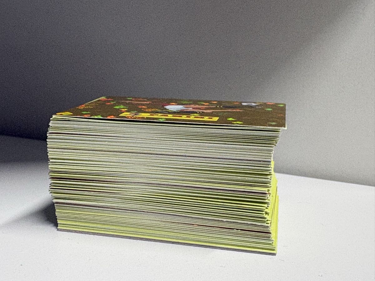 Panini Carte collezionabili: 150 Panini + 3 extra Sticker – Usato da Stäfa venduto da LAS89 1