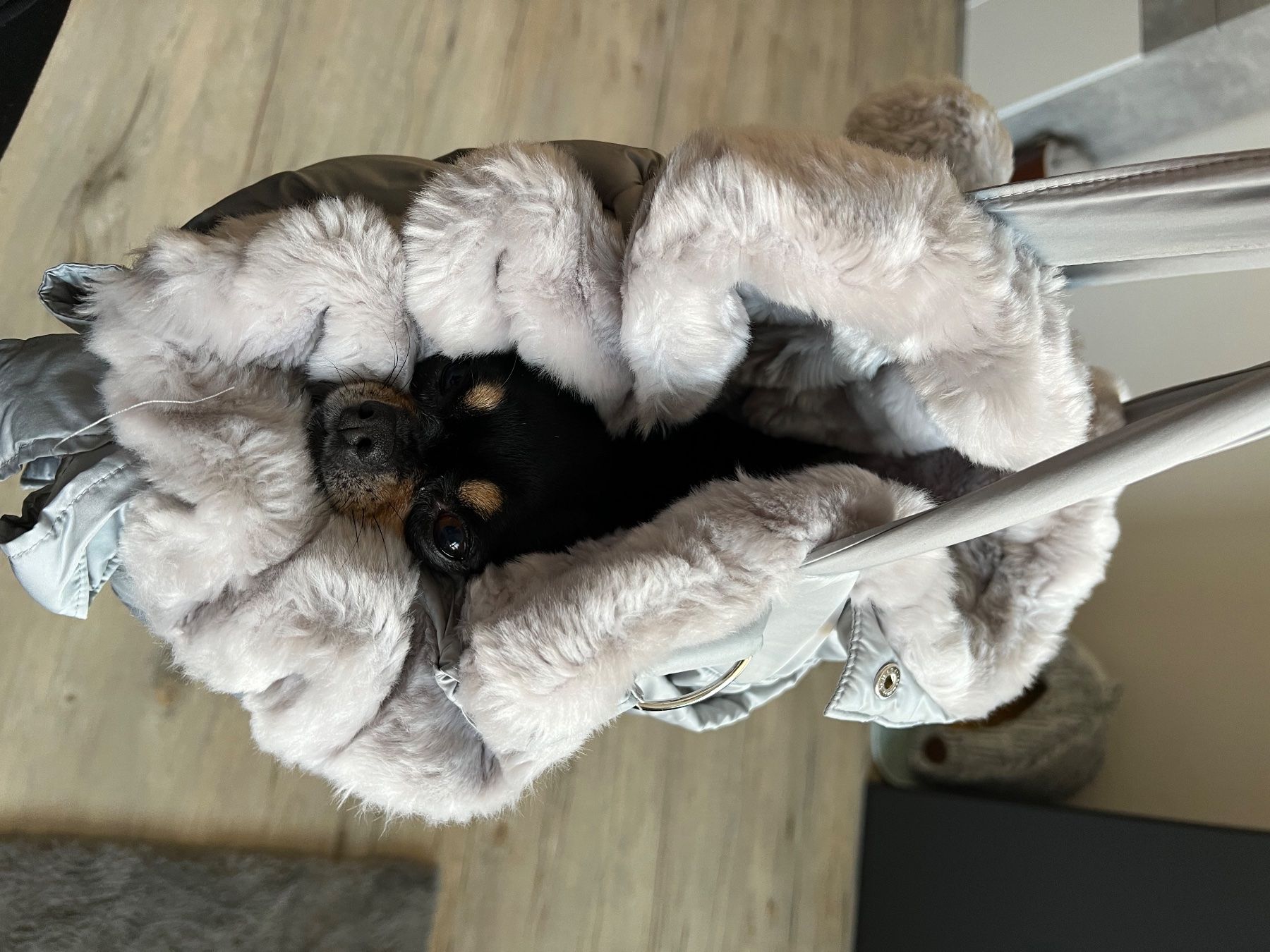 Sacs femmes: Borsa cani hand Made con ecopelliccetta – Neuf (Voir description) à St Moritz par Ma_S2023 2