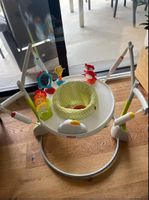 Skip Hop Activity Center, Springer, Top Zustand!