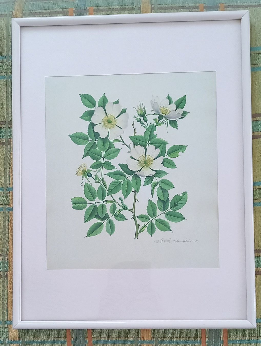 Grafica & Litografie: Niklaus Stoecklin: Blumenbild – Nuovo (secondo la descrizione) da Birsfelden venduto da Sakurajima