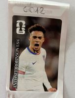 Figurina mondiali Panini Robinson