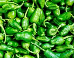 Ab 5.- 20 SAMEN GRAINES‪ SEMI "Pimiento del Padron"‪‪‪