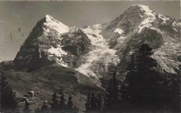 Wengernalp