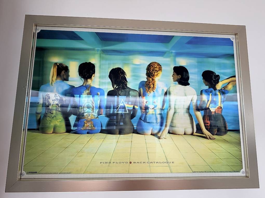 Dipinti: Pink Floyd Back Catalogue  Tableau  – Usato da St-Aubin-Sauges venduto da jfr_yhc6