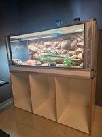 🦎Premium-Terrarium für Bartagamen – komplett eingerichtet🌵