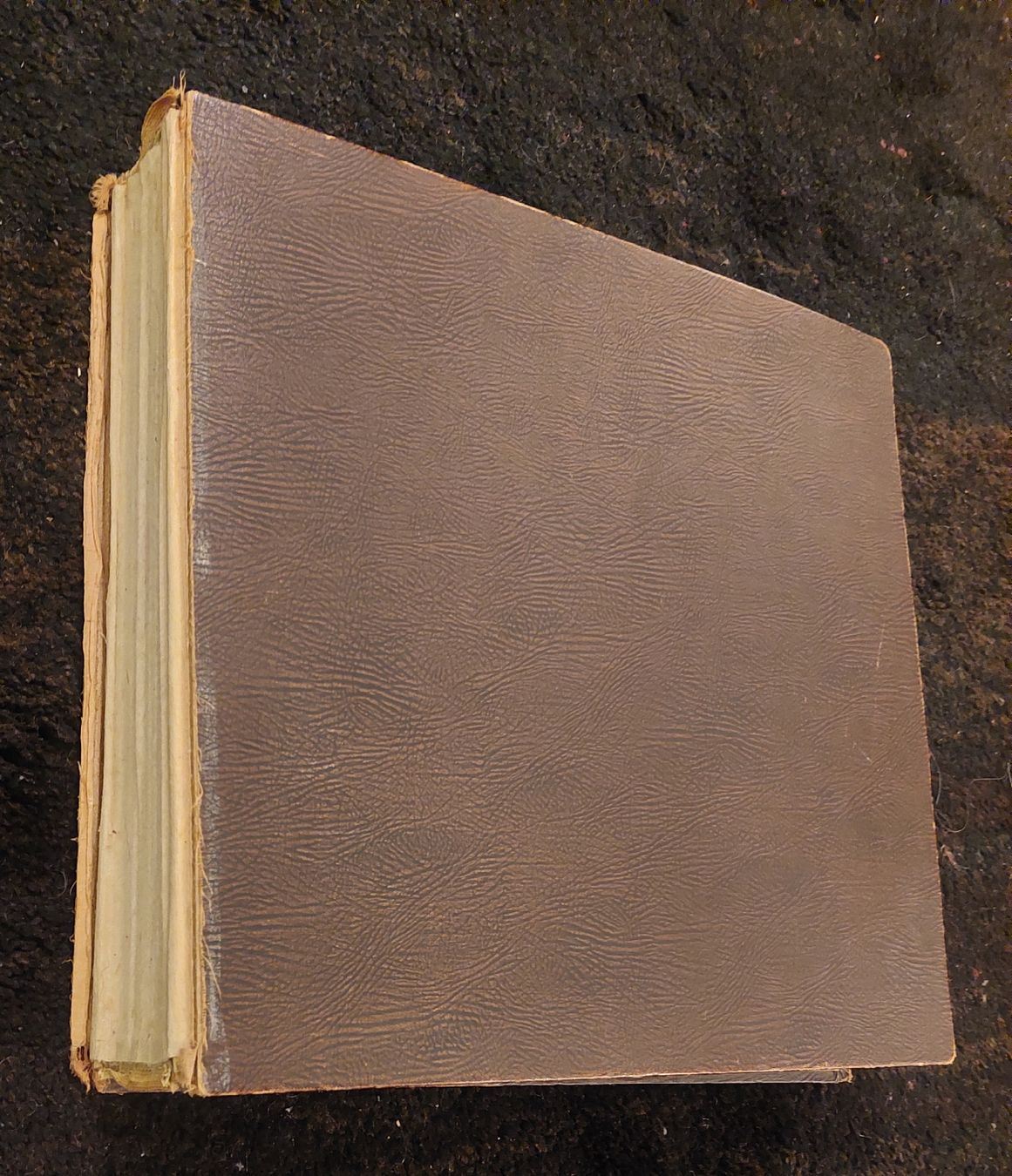 Vinyles: 12x 25cm Schellackplatten mit yiddischer Misik/Interpreten – D'occasion à Zürich par Cortin