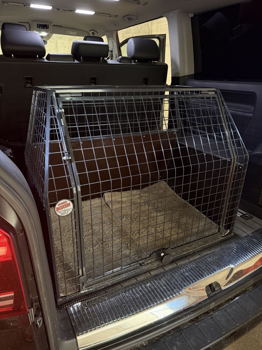 Gabbie, trasporto & Sicurezza: Hundebox, VW T5 Multivan, Sonderanfertigung  – Usato da Männedorf venduto da S.Stierle