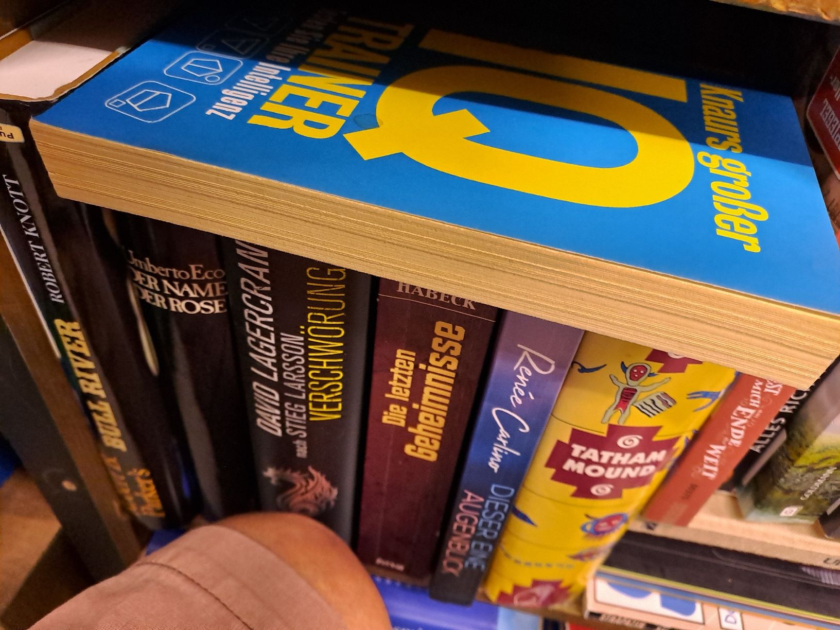 Libri: Knaurs Groesser IQ TRAINER Testen Sie Ihre Intelligenz Buch – Usato da Zürich venduto da Schoebi19 3