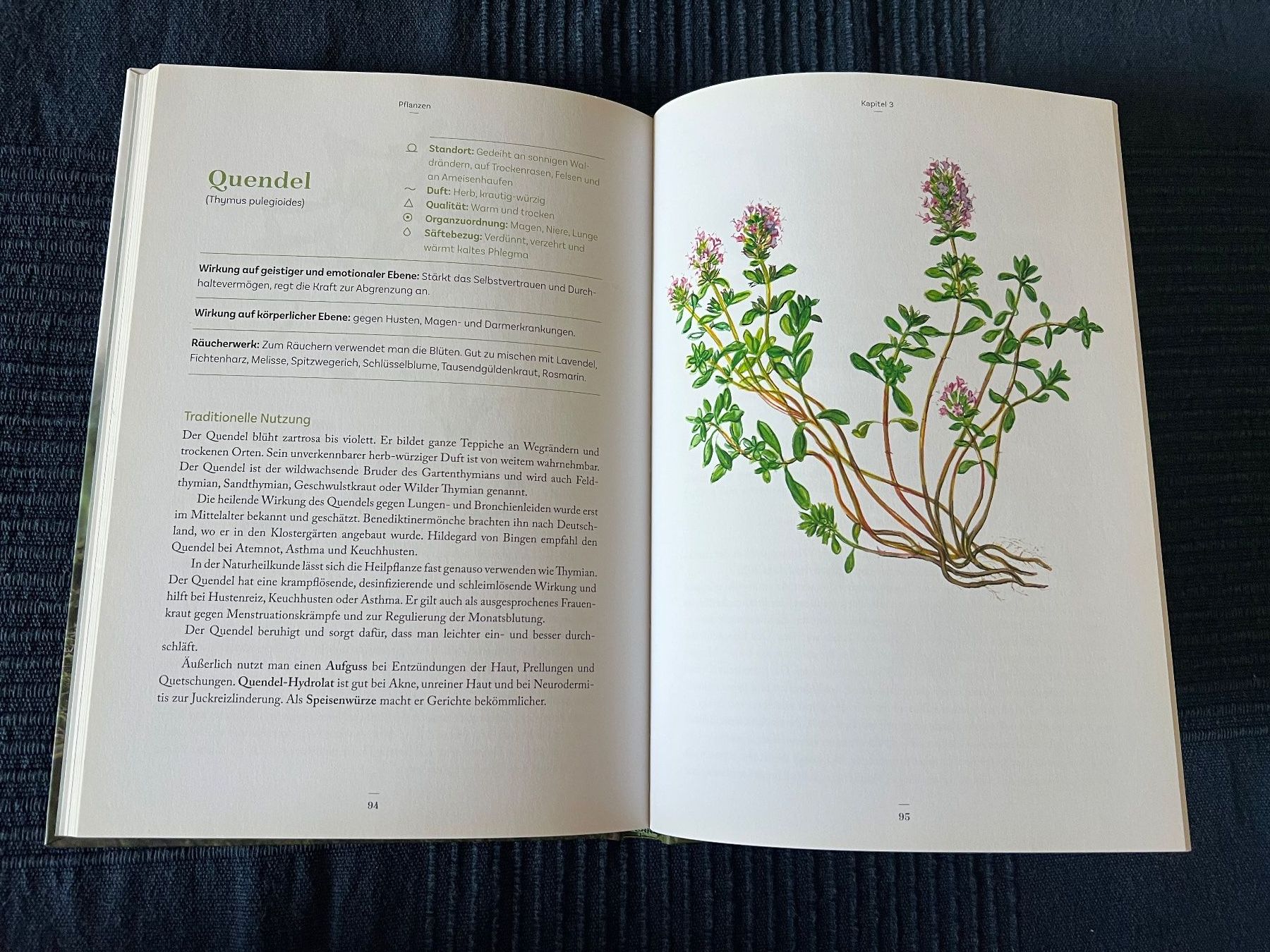 Libri: Friederich Kaindlstorfer: Räuchern Medizin – Usato da Steffisburg venduto da 9MOMO5 3