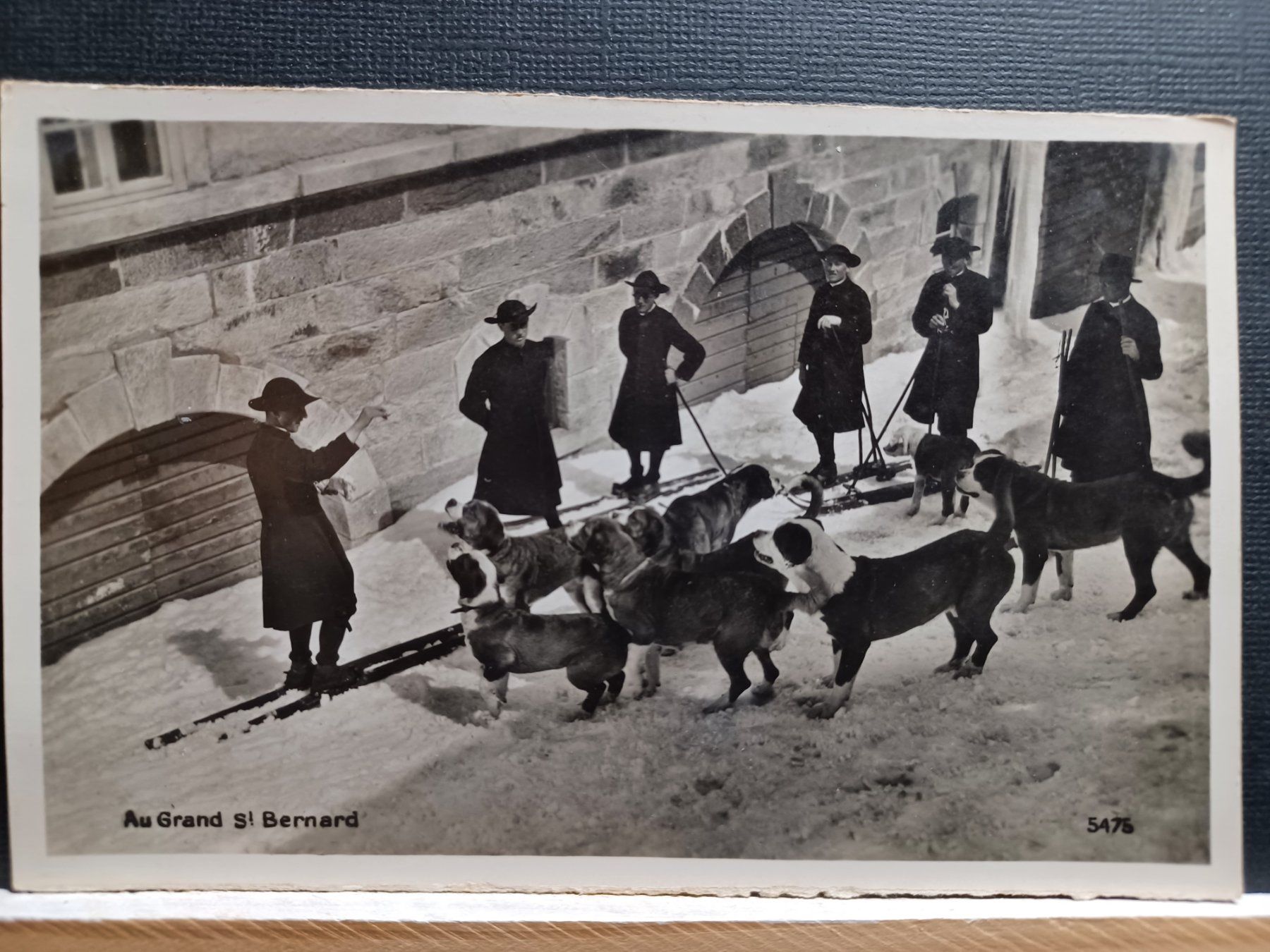 Cartoline postali: VS, "Au Grand St. Bernard" mit Nummer 5475. – Usato da Aarau Rohr venduto da mgvw