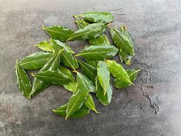 Laurier feuilles - Lorbeerblatt BIO fraîche 30 g