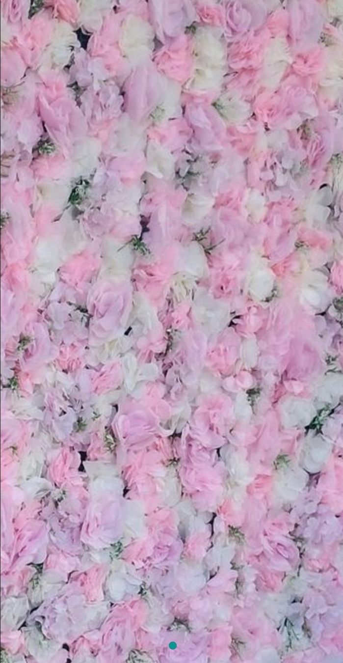 Tutte le decorazioni: Blumenwand für Hochzeit – Usato da Schaffhausen venduto da Chihuauer