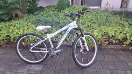 Fahrrad Wheeler Passera 45,