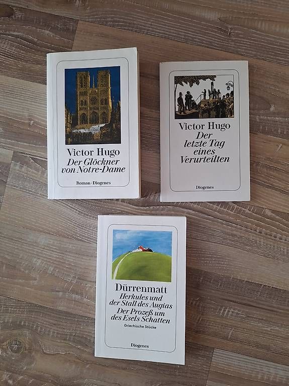 Libri: Verschiedene Bücher von Victor Hugo oder Dürrenmatt – Usato da Diessenhofen venduto da ben_5h68