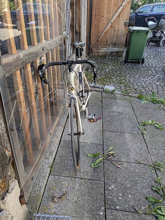 Velos: Trek Rennvelo – Defekt aus Schwyz von Maerchy02 1
