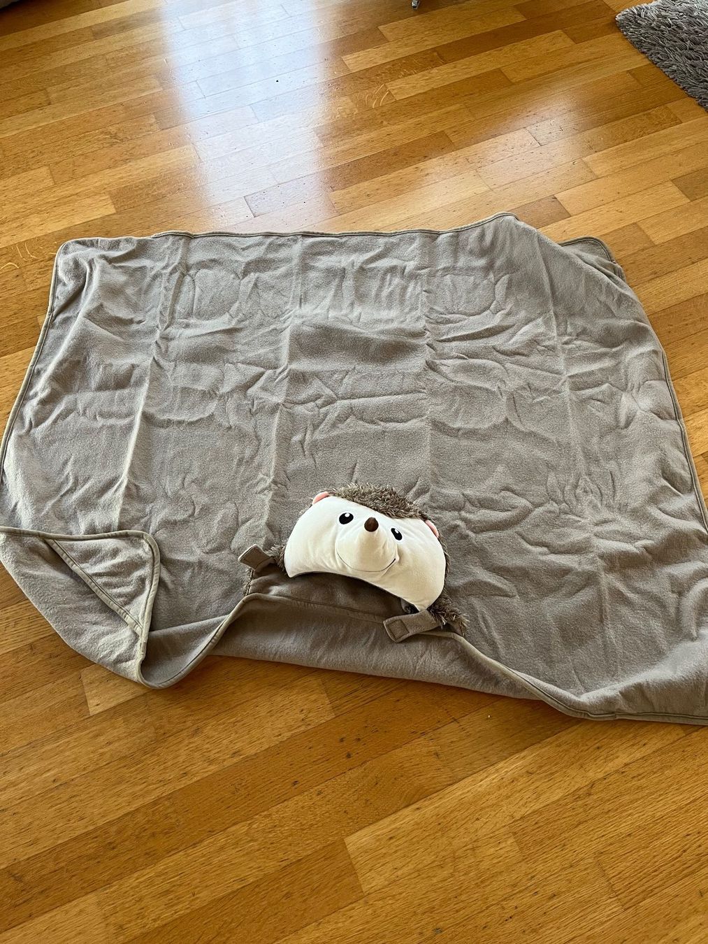 Decken: Kuscheltier Igel mit Decke guter Zustand – Gebraucht aus Kreuzlingen von zwergli05 1