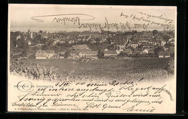 Cartoline postali: Colombier, Ortsansicht mit Wasserblick – Usato da Berlin venduto da bartko-reher