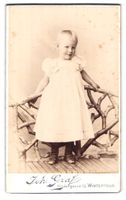 Fotografie Joh. Graf, Winterthur, Nieder