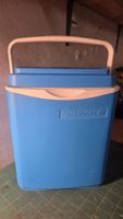 Kühlbox Campingaz blau mit Griff guter Zustand