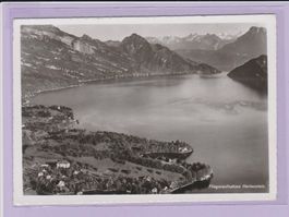 Hertenstein   -   alte Ansichtskarte gegen Weggis Vitznau