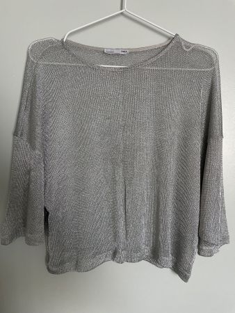 Zara Silver Top S