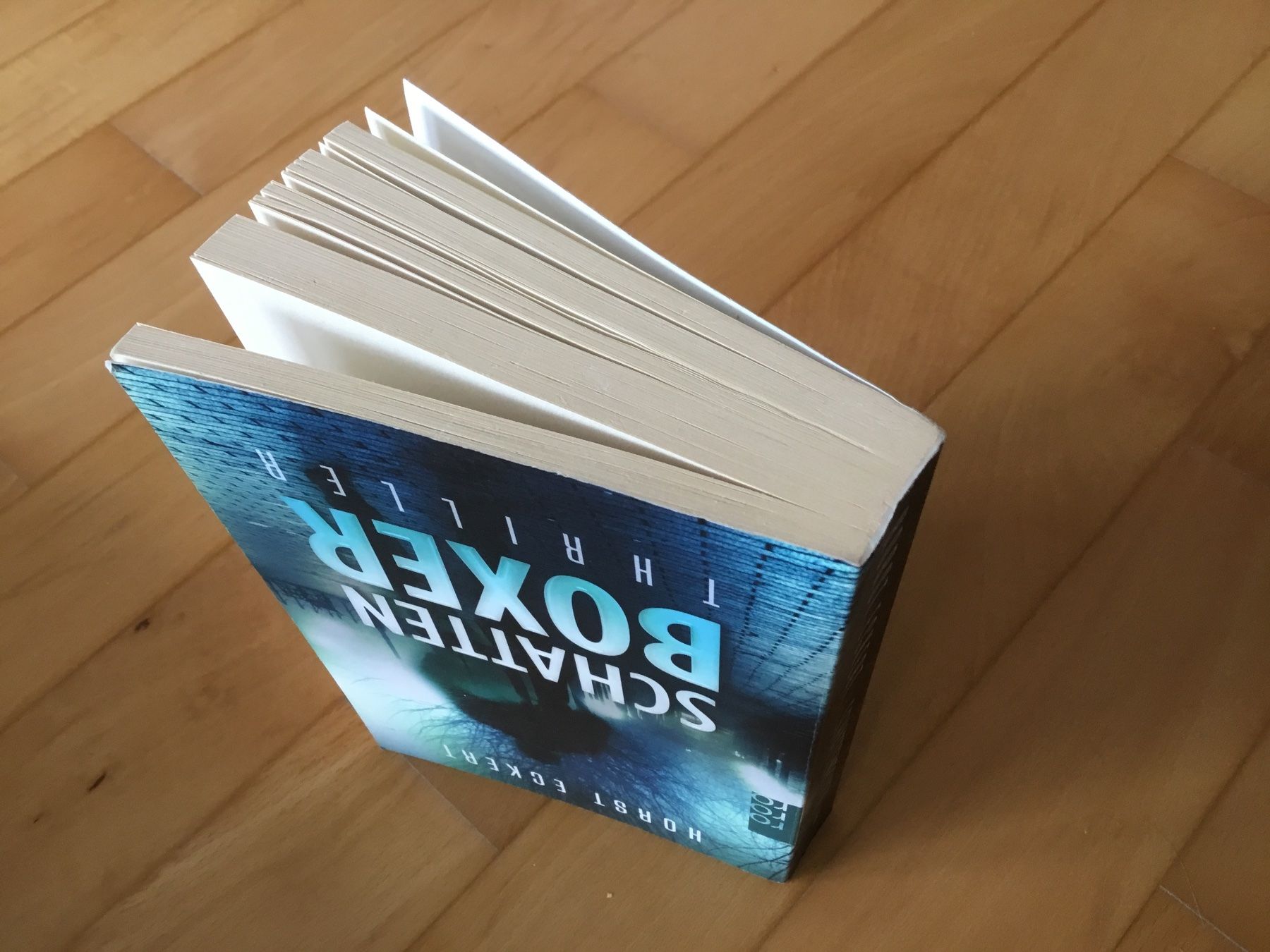 Libri: Horst Eckert - Schattenboxer , Thriller – Usato da Kerzers venduto da Georges3210 3