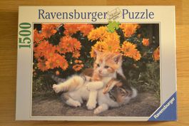 Puzzle Katzen 1500