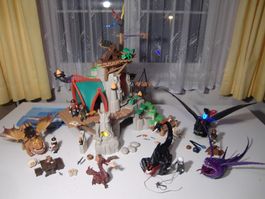 Playmobil Dragons BERK - Drachen zähmen leicht gemacht