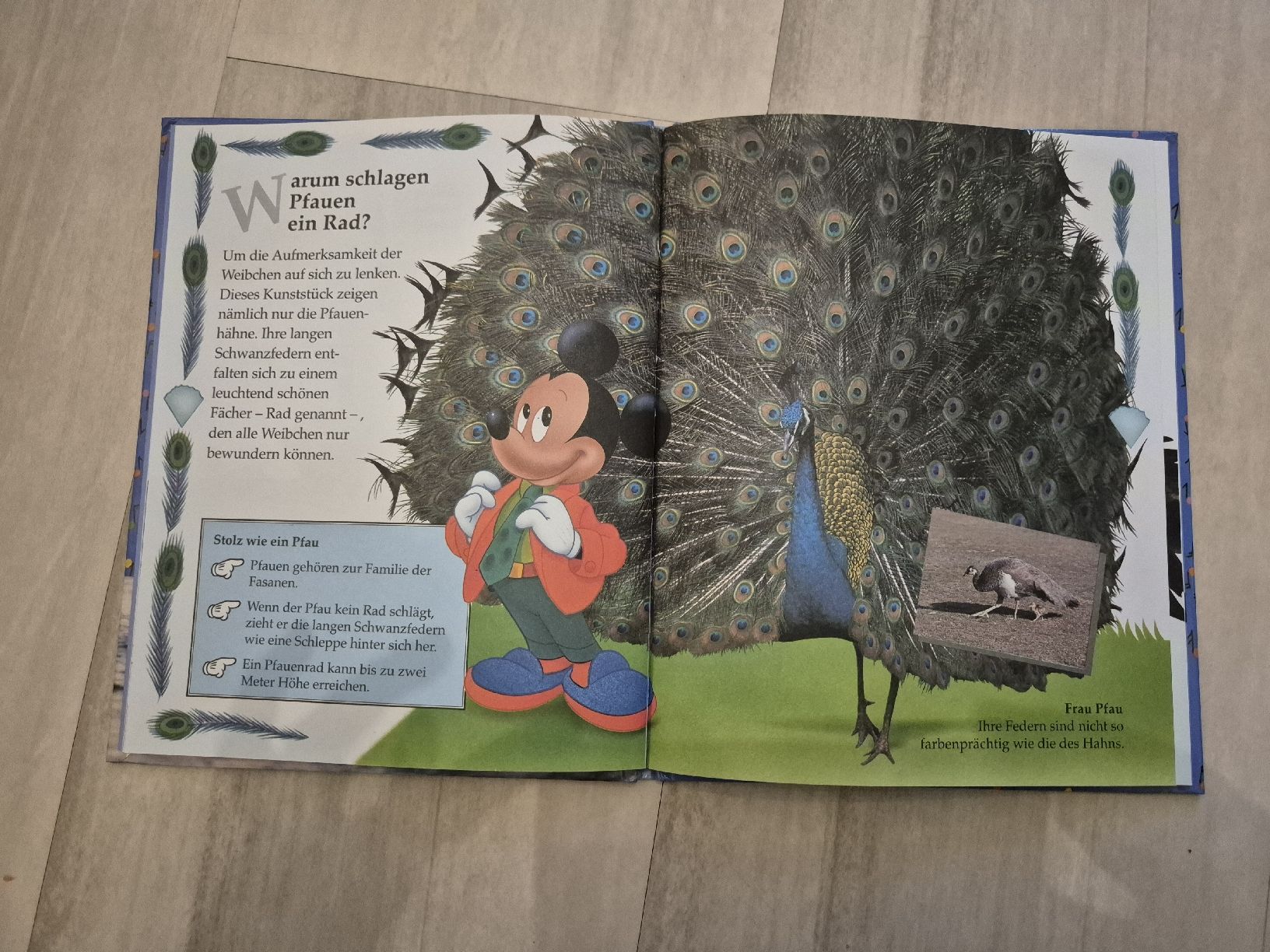 Libri: Micky fragt warum / Warum singen Wale – Usato da Stansstad venduto da Kyra014 1