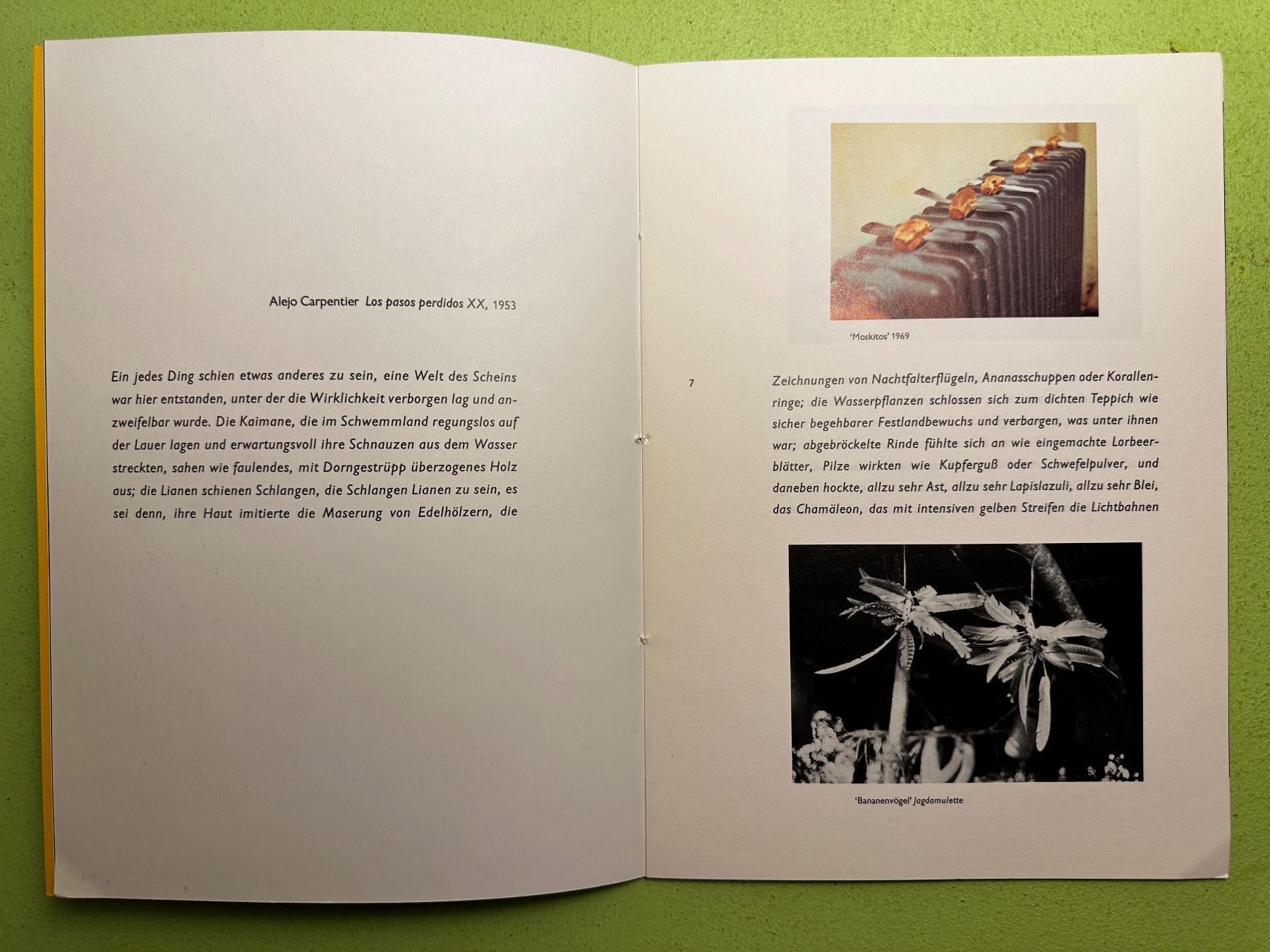 Libri: Lothar Baumgarten: Tierra de los perros mudos. d 1985 – Usato da Zürich venduto da allp 3