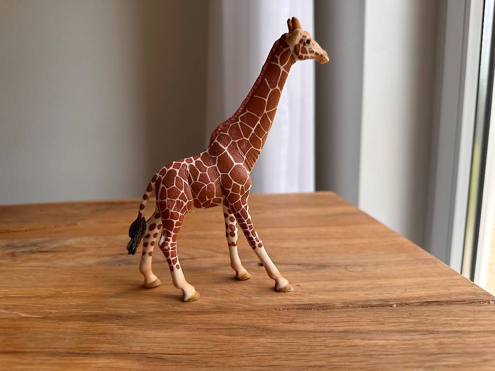 Schleich Statuette: Schleich Giraffe – Usato da Abtwil SG venduto da nur_6nx6 1