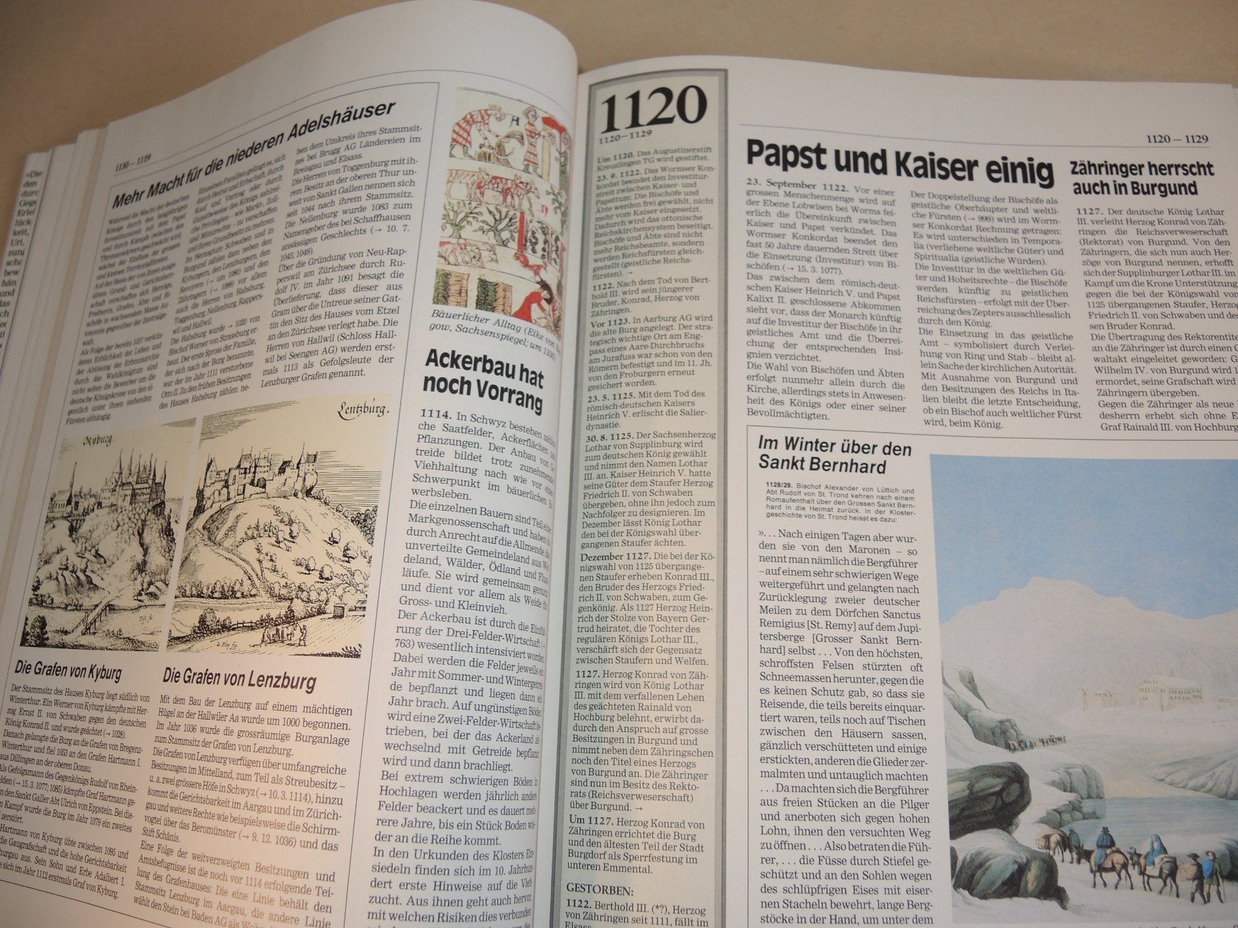 Libri: Chronik der Schweiz - ex libris – Usato da Rorschach venduto da maeck8 5