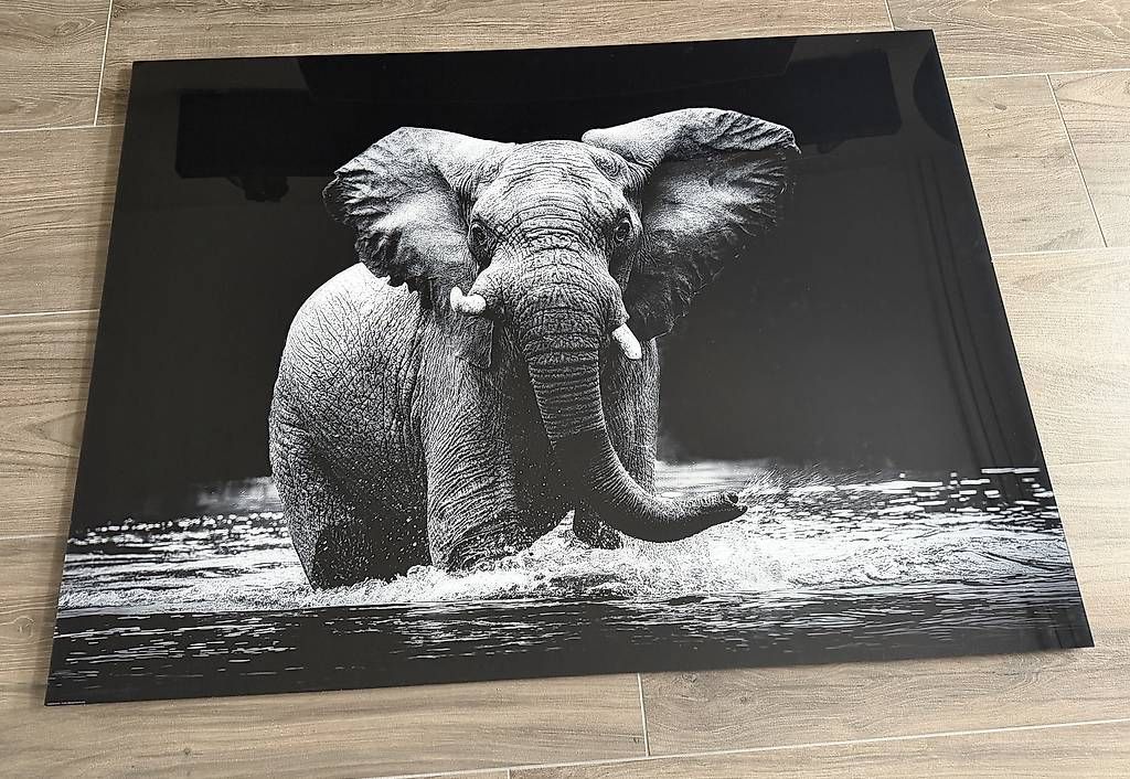 Posters & Illustrations: Wandbild Elefant Gallery Print – D'occasion à Schmitten FR par Medu_7